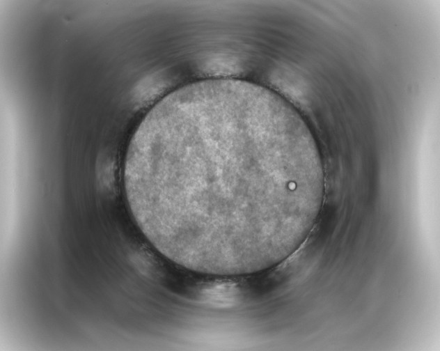 X0000087060162200705021224