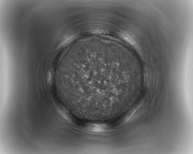 X0000087060165200705021224