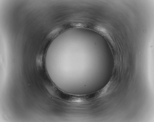 X0000087060167200705021224