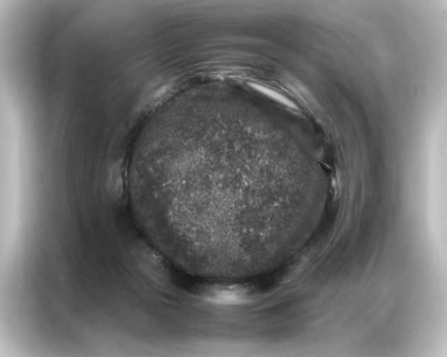 X0000087060169200705021224