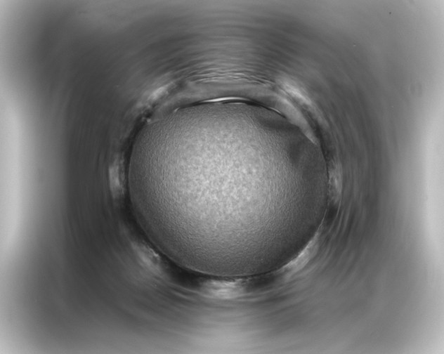 X0000087060170200705021224