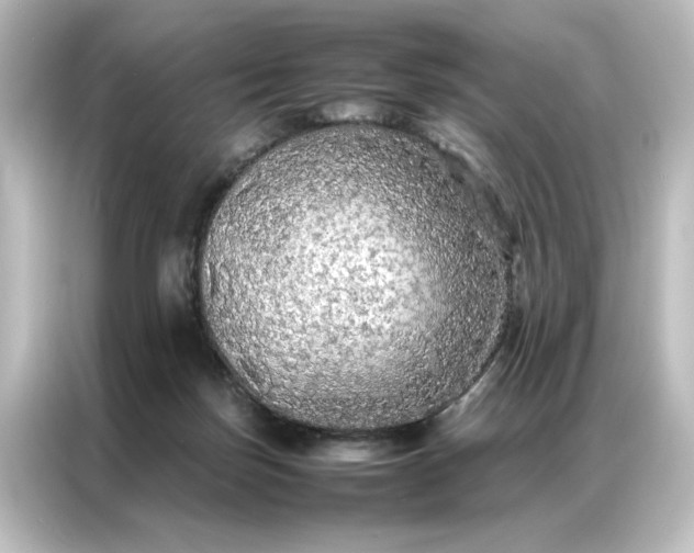 X0000087060171200705021224