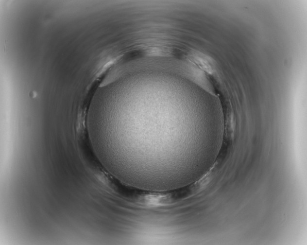 X0000087060172200705021224