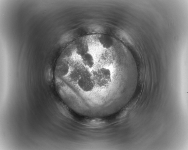 X0000087060173200705021224