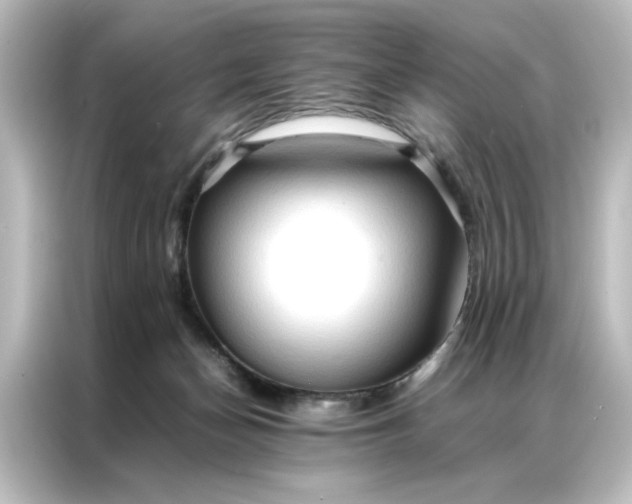 X0000087060174200705021224