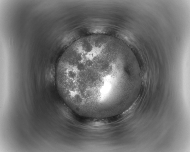 X0000087060175200705021224