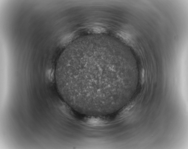 X0000087060177200705021224