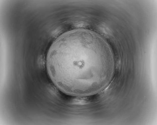 X0000087060179200705021224