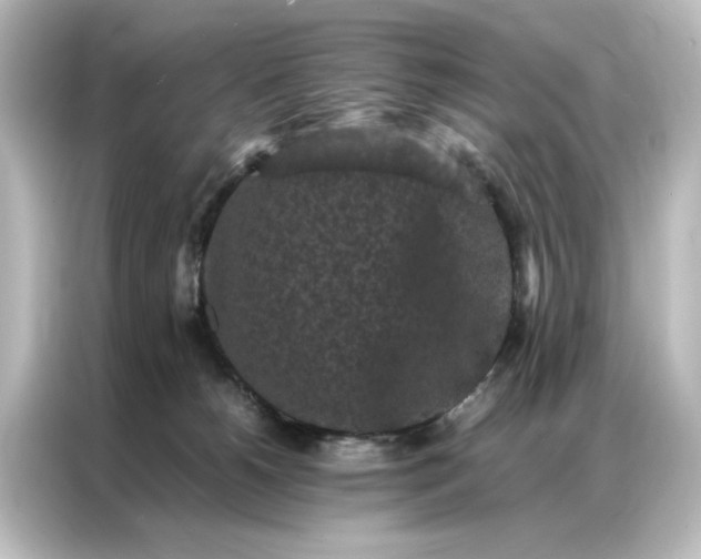 X0000087060180200705021224