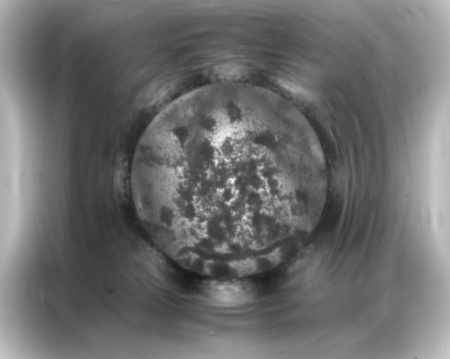 X0000087060181200705021224