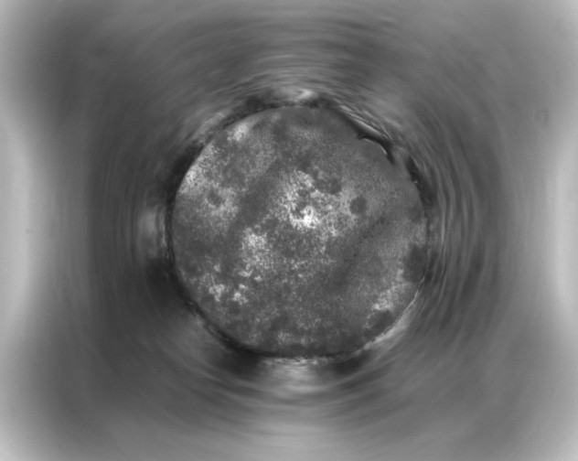 X0000087060182200705021224