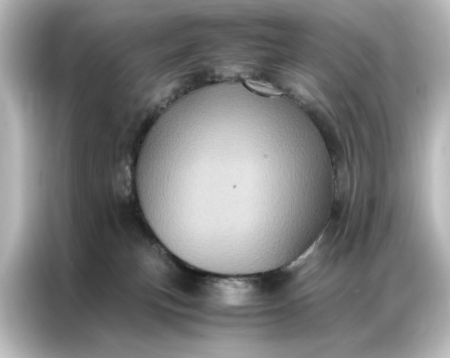 X0000087060183200705021224