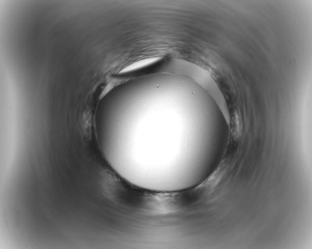 X0000087060184200705021224