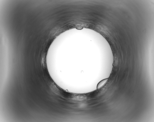 X0000087060185200705021224