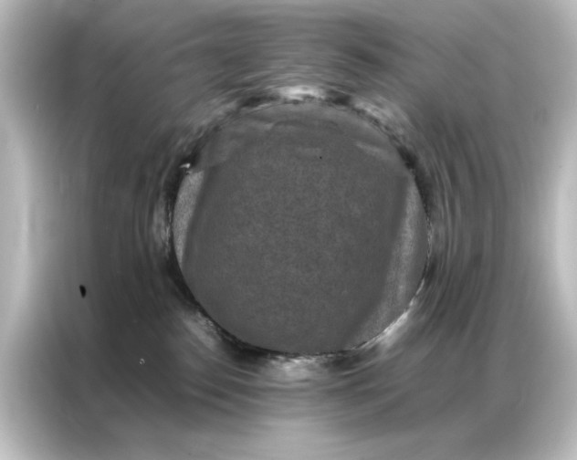 X0000087060186200705021224