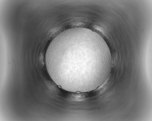 X0000087060187200705021224