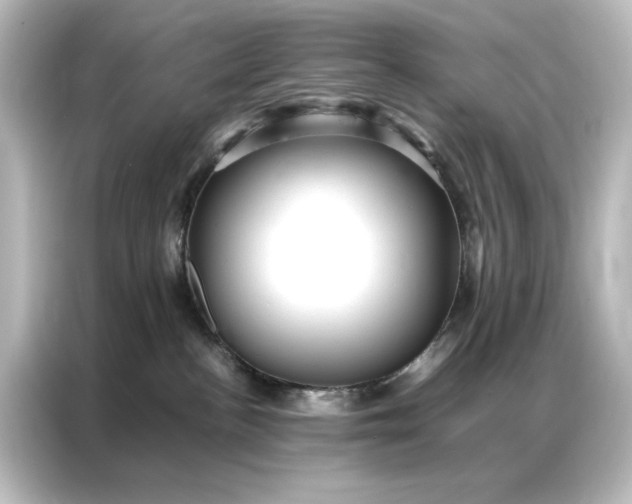 X0000087060188200705021224