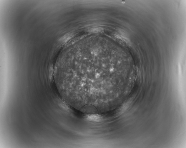 X0000087060189200705021224