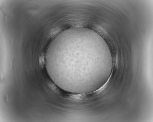 X0000087060190200705021224