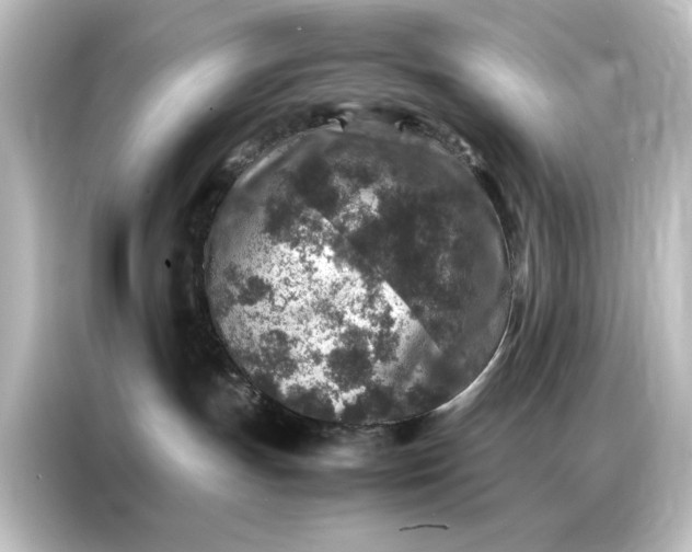 X0000087060191200705021224