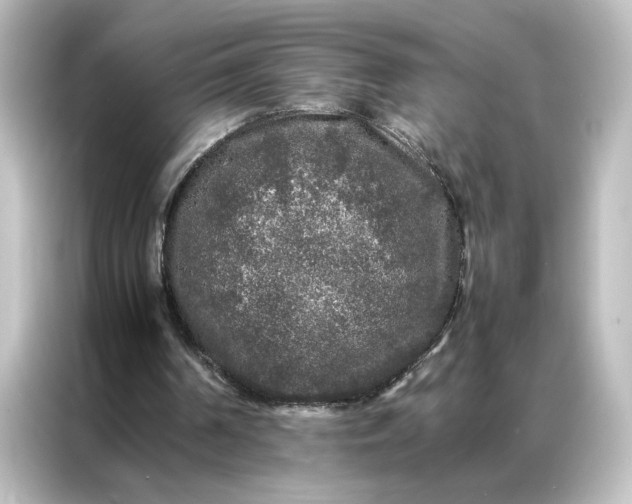 X0000087060194200705021223