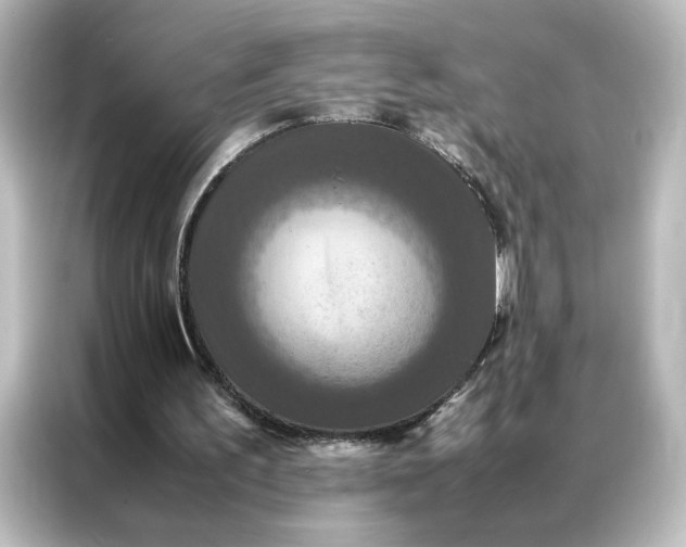 X0000087060195200705021223