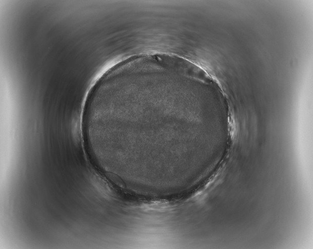 X0000087060196200705021223