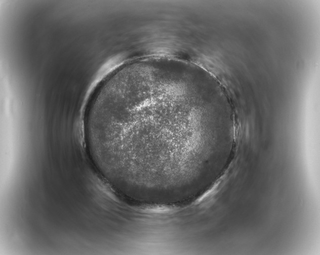 X0000087060198200705021223