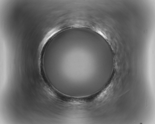 X0000087060199200705021223