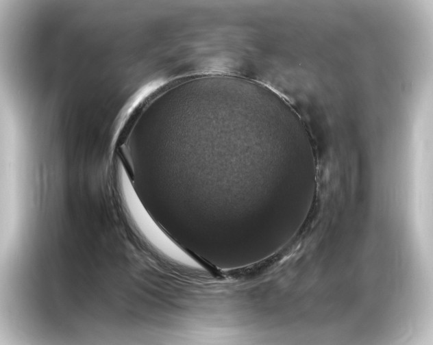 X0000087060200200705021223