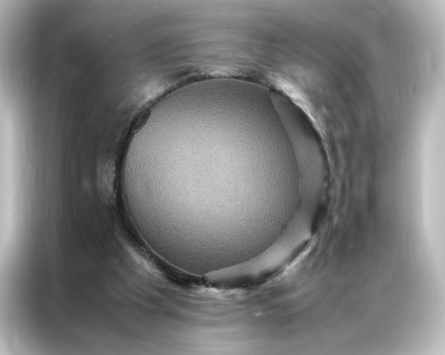 X0000087060201200705021223