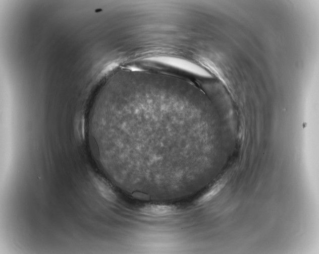 X0000087060205200705021223