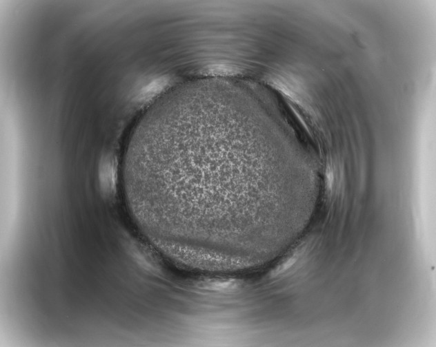 X0000087060206200705021223