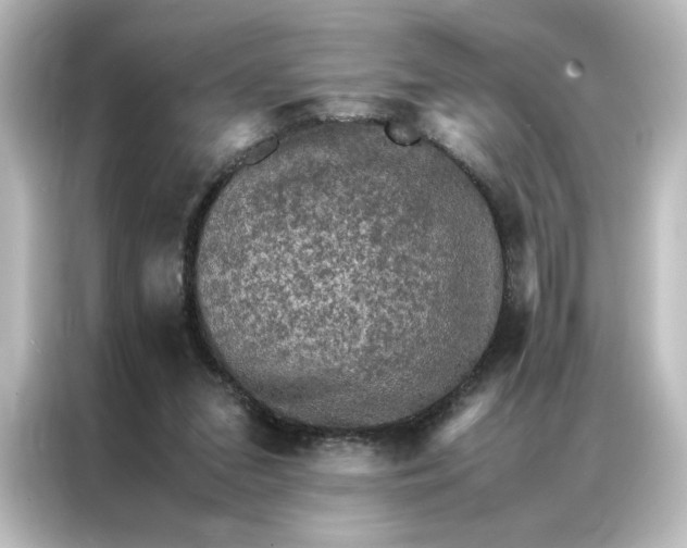 X0000087060207200705021223