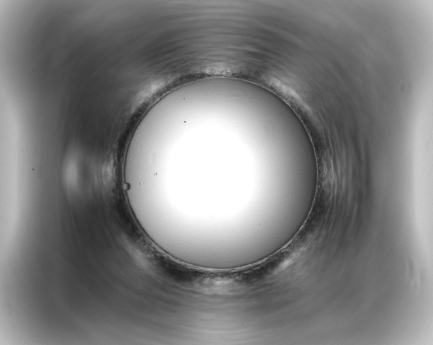 X0000087060208200705021223