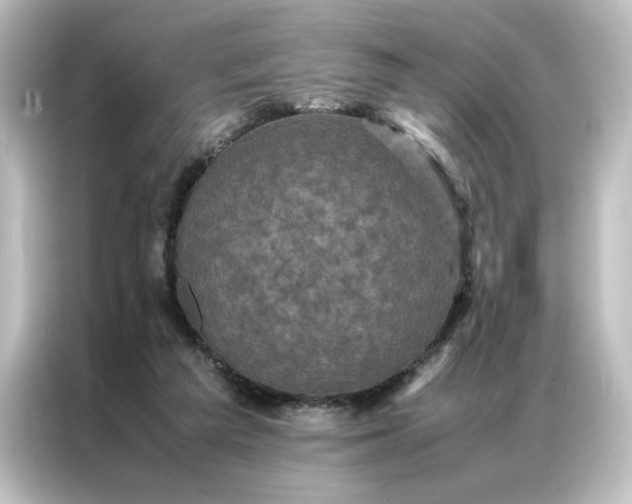 X0000087060209200705021223