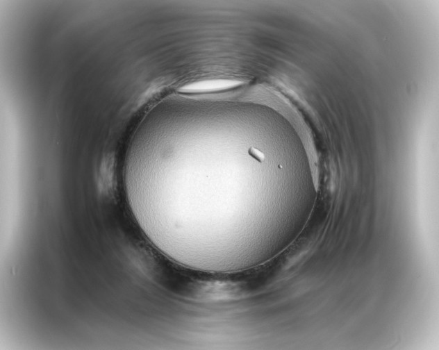 X0000087060212200705021223