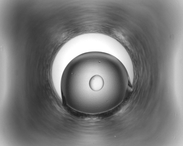 X0000087060213200705021223