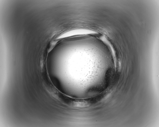 X0000087060215200705021223