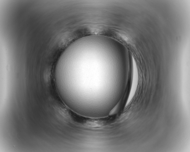 X0000087060221200705021223