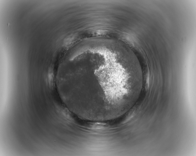 X0000087060222200705021223