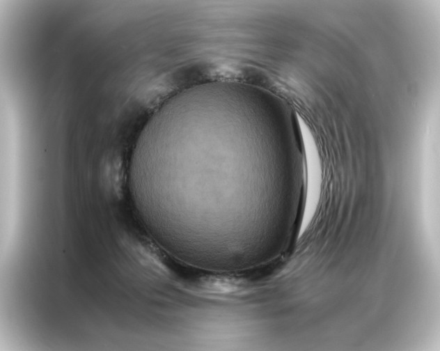 X0000087060223200705021223