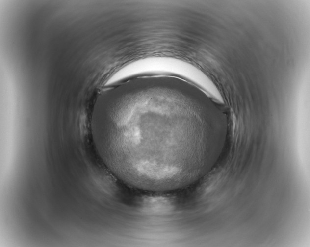 X0000087060224200705021223