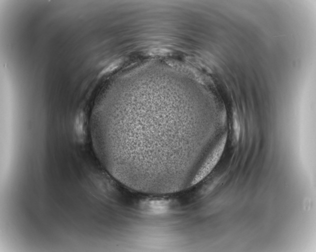 X0000087060228200705021223