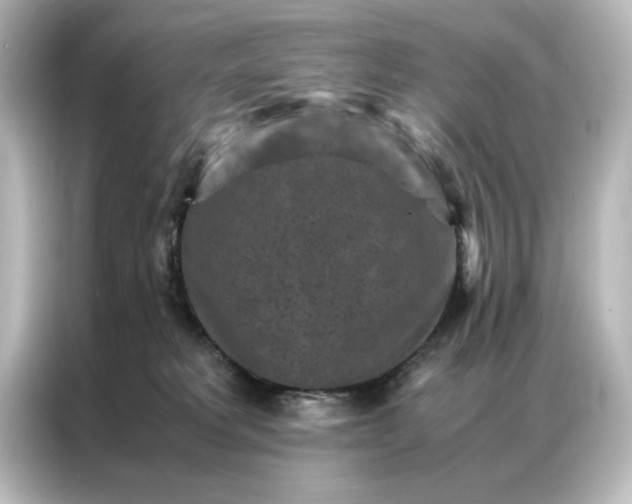 X0000087060229200705021223