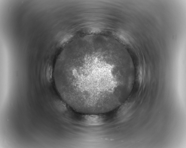 X0000087060230200705021223