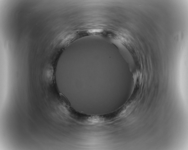 X0000087060231200705021223