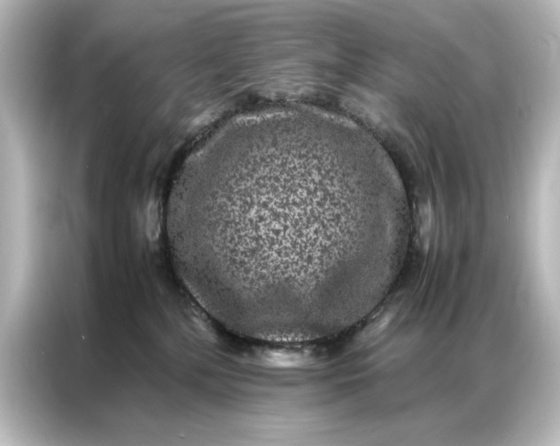 X0000087060232200705021223