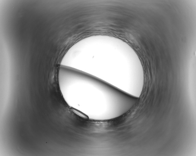 X0000087060233200705021223