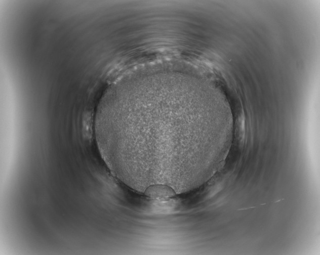 X0000087060234200705021223